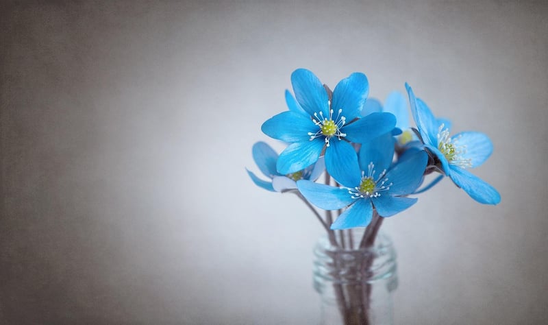 Whimsical Centerpieces